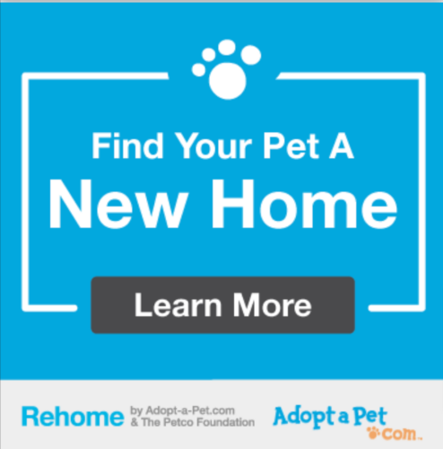 Give-Up-a-Pet-LifeLine-Animal-Project-Pet-Support-to-Find-a-New-Home-10-28-2024_01_43_PM