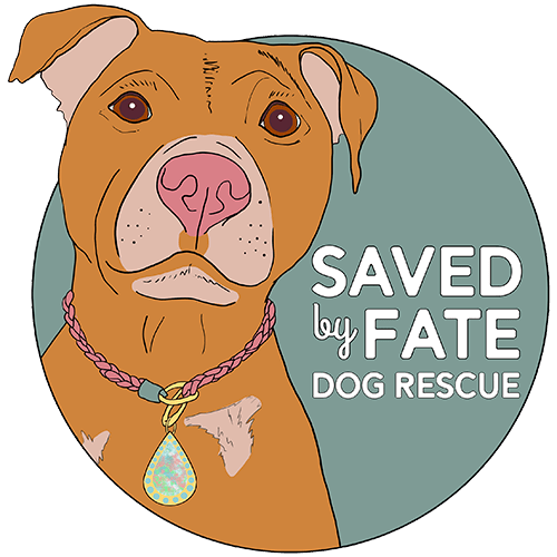 Saved By Fate Dog Rescue