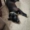 Boudreaux