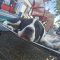 Waylon